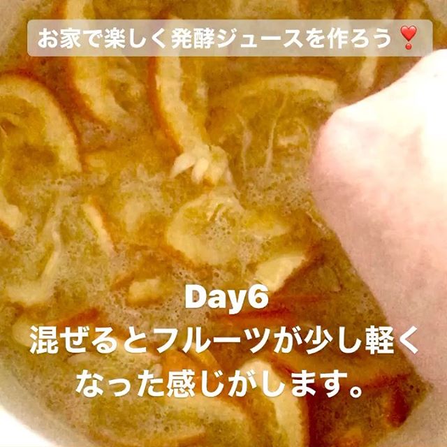 おはようございます！.#ステイホームがんばろう#発酵ジュース.手作り発酵ジュースのDay6今日は画質がイマイチになってしまいましたが….発酵は順調に進んでる様子樽に手を入れると、フルーツが少し軽くなった様な感じ。.泡も盛んに出て来て、ピークまで後少しです！.#healthyfood#medicinalfood#fruits#miso#日本を元気にするご飯#ヘルシーフード#手作り発酵ジュース #発酵 #発酵フルーツ #発酵リビングフード#温活 #イライラ　#ストレス緩和#薬膳 #中医 #手作り味噌体験#発酵麹調味料 #発酵麹調味料マイスターhttps://dodonosora.jp/https://chuigaku-cocokara.jp/magazine/cook/