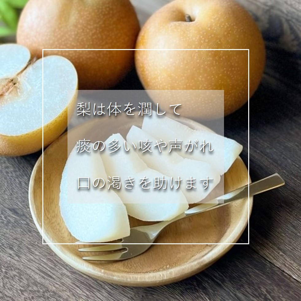 🍐体を潤して痰の多い咳や声がれ口の渇きを助けます和梨は、日本の各地で7月下旬から11月頃まで収穫され、秋の代表的なフルーツです 🍐 中医学的には、体を潤し、咳や痰を緩和し、声がれを改善する効果があるとされています。・・栄養学的には、ビタミンCや食物繊維、カリウム、ビタミンK、葉酸などが豊富に含まれており、免疫機能の向上や消化促進、浮腫みの改善に役立ちます❣  また、果肉は水分たっぷりで低カロリーなので、ダイエット中の方にもおすすめです。・・ただし、梨は涼性の性質を持ち、体を冷やす傾向があるため、消化器系が冷えて弱っている場合は控えることを考えてみてください ️🌡️#秋の味わい#健康生活#免疫力アップ#季節の恵み#美味しい生活 #自然の恵み＃発酵調味料＃発酵料理師協会＃薬膳